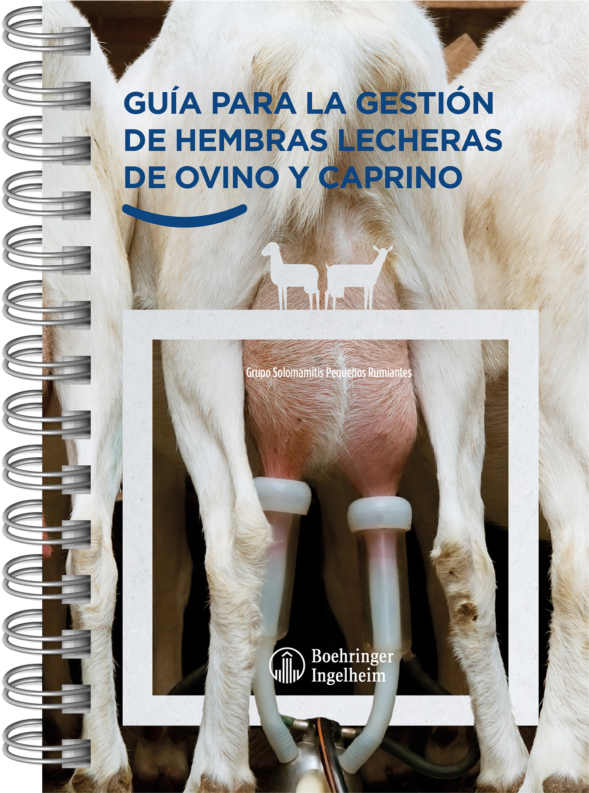 Boehringer Ingelheim Animal Health España presenta la “Guía para la gestión de hembras lecheras de ovino
                y caprino”