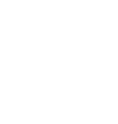 BI Expert