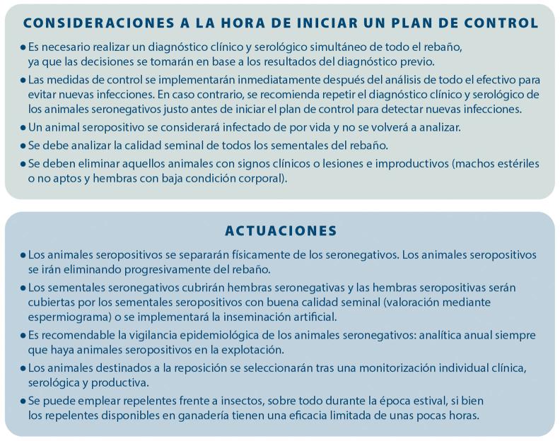 Besnoitia besnoiti. Somosrumis Boehringer Ingelheim Animal Health España